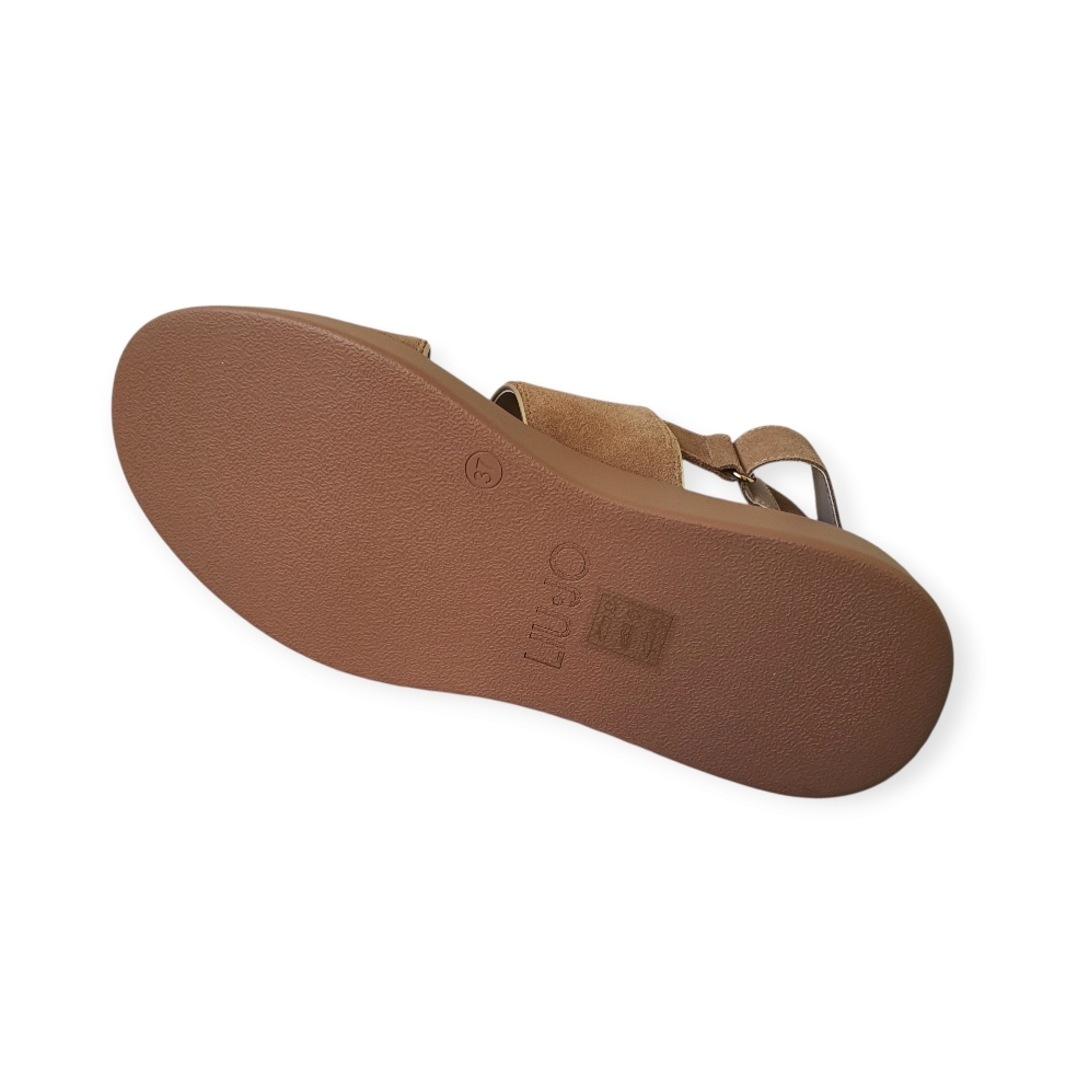 SA5187PX002 Cow suite Nut S1853